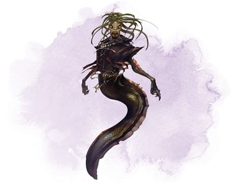 Aquatic witch peabody